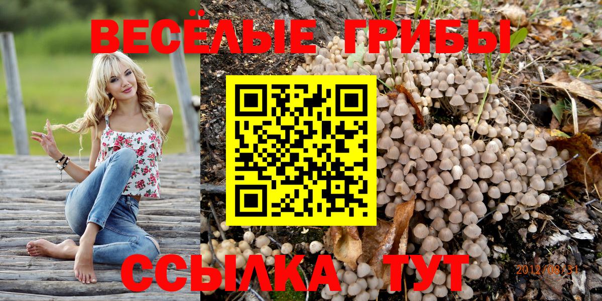 Галлюциногенные грибы Magic Shrooms Камышлов